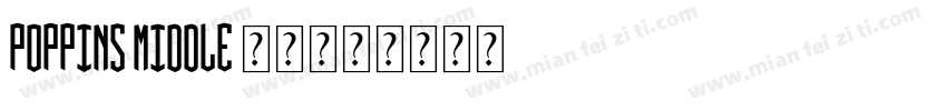 poppins middle 字体字体转换